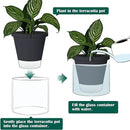 D'vine Dev 10 Inch Design Self Watering Planter for Indoor Plants, Black Terracotta Pot with Cylinder Glass Cup, 37-X-D-3 by GreenHaven Gardens