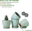 Succulent Planter for Indoor Plants, 4 Inch Small Ceramic Plant Pot with Drainage Holes and Saucers, Flower Pots for herb - Set of 4 by CozyNest Decor