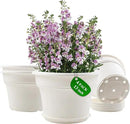 13 Inch Plastic-Flower-Pot-for-Indoor-Plants, 4 Pack Large Outdoor Planter Pot with Drainage Holes & Saucers, Resin Decorative Garden Pots Planters by CozyNest Decor