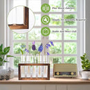 2pcs Desktop Glass Plant Propagation Station with 10 Test Tubes in Wooden Stand - Hydroponic Plants Cutting Office Home Decoration and Garden Decor Terrarium (10 Tubes) by GreenHaven Gardens