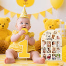 R HORSE My First Year Photo Display Wood Board - 3D Brown Bear Baby's First Year Picture Frame, 12 Months Beary Milestone Board Neutral Baby Keepsake Gift 1st Birthday Nursery Decor for Boy Girl by TinyTreasures Baby Boutique