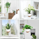 Hanging Planters for Indoor Outdoor Plants, 2 Pack Self Watering Hanging Pot with Drainage Holes & Removable Tray (White, 6'') by GreenHaven Gardens