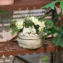Newman House Studio Spring Bunny Flower Pot Easter-Decor - Decorative Garden Pots Cactus-Succulents Bunny Flower Pots Indoor Outdoor Plant Pots for Home Farmhouse Décor 7.5 * 7.4 * 6.1 Inch by GreenHaven Gardens