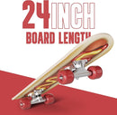24 inch Rude Boyz Mini Cruiser Skateboard - Aluminium Trucks - Kids Skateboard Ages 5-8 Beginner - Skateboards for Kids by TinyTreasures Baby Boutique