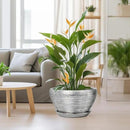 Flower Pot for Indoor Plants - Ceramic Planter 13 Inch Plant Pot with Drainage Hole and Saucer Large Decorative Planter Outdoor Mid-Century Planter for House Decor Silver by GreenHaven Gardens