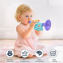Musical Toys for 2 3 Year Old Boy Girl Birthday Gifts, 5 in 1 Montessori Musical Instruments for Toddlers 2-4 with Trumpet/Microphone/Flute/Harmonica, Preschool Learning Toys for Baby 18+ Months by TinyTreasures Baby Boutique