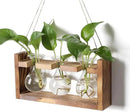 Plant Propagation Station Plant Terrarium Unique Birthday Gifts for Women Plant Lovers Home Office Decor Planter with Wooden Stand - 3 Bulb Glass Vase by GreenHaven Gardens