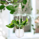 Small Hanging Planters Self Watering 5 Inch, 3 Set Hanging Plant Pot for Indoor Outdoor Plants, Hanging Flower Pots with Drainage Hole & 2 Kinds of Plant Hangers for Garden Home Decor by GreenHaven Gardens