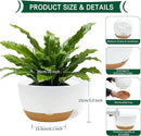 10 Inch Pots for Indoor Plants, Large Self Watering Planters with Drainage and Saucers, Plastic Outdoor Flower Pot, Set of 2, White by GreenHaven Gardens