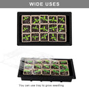 Aodaer 247 Pack Seed Starter Kit Including Peat Pots for Seedlings Seed Starter Tray with Plant Labels, Tool, Plastic Growing Trays Germination Tray Paper Seedling Cups for Indoor Outdoor Garden by GreenHaven Gardens