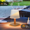 pearlstar Solar Table Lamp Outdoor - 2 Pack LED Waterproof Cordless Solar Desk Lamp with Pull Chain 2 Lighting Modes, Auto ON/Off for Outside Patio Coffee Table Garden Bedroom Living Room(White) by GreenHaven Gardens