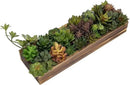MyGift Artificial Succulent Centerpiece, 15.75 Inch Faux Succulents Arrangement Plants in Rustic Burnt Wood Rectangular Planter Box by CozyNest Decor