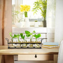 THYGIFTREE Plant Propagation Stations with Metal Stand, Tabletop Plant Terrarium for Propagating Hydroponic, Retro Glass Planter Flower Vase Home Kitchen Office Decor, Plant Lover Gifts, 5 Jars by GreenHaven Gardens