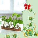 XXXFLOWER Plant Propagation Station with Wooden Stand，Air Plant Terrarium Starter Kits Star Vases for Flowers Plant Cutting Rooting Pots Indoor Hydroponic Glass Planter for Plant Lovers,3 Jars by CozyNest Decor