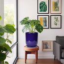 10 Inch Plant Pot - Ceramic Pot for Indoor Plants Large Planter Modern Outdoor Flower Pot with Drainage Hole and Saucer for Home Patio Decor Blue by GreenHaven Gardens