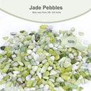 10 lbs Jade Pebbles for Indoor Plants, Decorative Pebbles for Bamboo, Vase, 3/8" Plant Gravel for Pots Indoor, Highly Polished Small River Rocks by GreenHaven Gardens