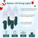 C6 LED Christmas String Lights, 20 ft 60 LED Battery Operated Faceted Strawberry Lights, Waterproof for House Roof Roofline Christmas Tree, White, 2 Pack by GreenHaven Gardens
