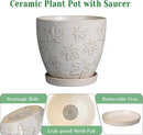 Ceramic Plant Pot 6 Inch - Ceramic Planter with Drainage Hole and Saucer Round Planter Flower Pot for Indoor Plants Outdoor Home Garden Office Decor White by GreenHaven Gardens
