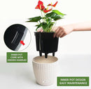 Dexceder 9x8 Inches Rattan Self Watering Planter Indoor Outdoor, Inner Pot Design, Thickened Table Flower Plant Pot with Water Level Indicator (Ivory White) by CozyNest Decor