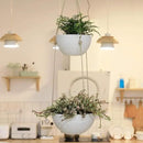 LA JOLIE MUSE 2 Tier Hanging Planters for Indoor & Outdoor Plants - Modern Flower Pots with Rope, Garden Planters with Drain Holes, Speckled White by GreenHaven Gardens