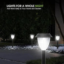 GOODFOEVER Solar Pathway Lights Outdoor, 10 Pack Solar Lights Outdoor Waterproof for Outside, Garden Decor for Yard, Patio, Landscape, Planter, Walkway, Driveway by GreenHaven Gardens