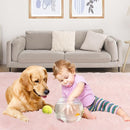 Soft 5x7 Pink Rug, Fluffy Area Rugs for Living Room, Plush Area Rugs for Bedroom, Non-Slip Indoor Carpet for Nursery, Study Room, Kids Room, Room Decor by TinyTreasures Baby Boutique