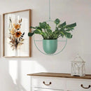 Hanging Planters 2 Pack Boho Mid Century Hanging Plants Hangers Metal Wall Ceiling Flower Pot Indoor Outdoor Vine Holder Room and Window Decor(Green) by GreenHaven Gardens