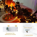 Joyhalo 2 Pack Halloween Garland with Lights, Black Maple Leaves Lighted Garland for Mantle, 5.7FT Light Up Leaf Autumn Vines Outdoor for Door Frame, Fireplace and Thanksgiving Fall Decor by CozyNest Decor