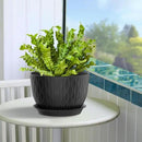 Plant Pots 12/10/9 Inch Pots, Set of 3 Plastic Planters with Drainage Holes and Saucers,Plastic Flower Pots,Nursery Planting Pot for Indoor Out Door Plants（Black） by GreenHaven Gardens