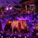 Brizled Purple Christmas Lights, 2 Pack 33ft 100 LED Christmas String Lights, 120V UL Certified Purple Halloween Light Connectable Mini Xmas Tree Light Outdoor for Halloween Xmas Party Wedding Holiday by TinyTreasures Baby Boutique