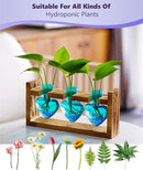 Nacome Plant Terrarium for Office Decor: Wooden Stand Tabletop Planter 3 Bulb Glass Vase Heart Shaped for Hydroponics Indoor Home - Birthday Gifts for Women Mom Grandma by GreenHaven Gardens