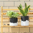 Nihow Self Watering Plant Pot: 6 Inch Ceramic Planter with Drainage Hole & Water Storage Plus for Indoor & Outdoor Plants - Cylinder Round Flower Pot for Succulent/Herbs/Violets - Black & Wave White by GreenHaven Gardens