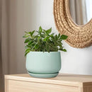 G EPGardening Ceramic Pots for Plants - 9 Inch Ceramic Planter with Drainage and Saucer, Round Planter for Indoor Outdoor Plants, Modern Flower Pots, Garden Decor, Birthday Gifts, Green by GreenHaven Gardens