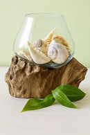 OMA Molten Glass on Driftwood – Hand Blown Vase, Terrarium, or Planter for Coastal & Boho Home Décor Centerpieces (6" - 7" High) by CozyNest Decor