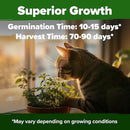HOME GROWN 𝗨𝗦𝗔 𝗣𝗥𝗘𝗠𝗜𝗨𝗠 Catnip Seeds (Bulk Pack) 𝗡𝗢𝗡-𝗚𝗠𝗢 Heirloom Herb 2,116 Seeds - Indoor or Outdoor Seed - High-Germination Cat Nip - Cat Safe Plants (Nepeta cataria) by GreenHaven Gardens