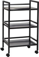 Amazon Basics 3-Tier Metal Rolling Cart, Black by CozyNest Decor