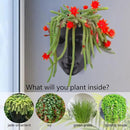 GDYOOSHOW 6.7" Tall Hanging Planter Wall Flower Pot for Garden Balcony Indoor or Outdoor (Black Resin) by CozyNest Decor