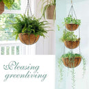 Hanging Plant Basket Flower Holder (4pack, 14 inch)-Metal Wire Round Hanging Basket Planter with Coco Fiber Liners for Plants Flower Pots Indoor Outdoor Garden Porch and Balcony Decor by GreenHaven Gardens