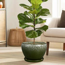 10 Inch Planter Pot - Ceramic Pots for Plants with Drainage Hole and Saucer, Round Large Flower Pot for Indoor Plants, Dark Green by GreenHaven Gardens