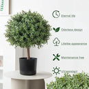 2 Pack 24.5inch Artificial Topiary Ball Plants, Faux Boxwood Ball in Pot, Fake Outdoor Plant for Front Door Decor, Home Decor, Garden, Wedding Decor by CozyNest Decor