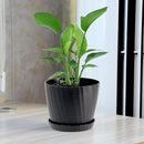 6 Inch Plant Pots Bulk, 6 Pack Plastic Planters with Drainage Holes and Saucers for Indoor Outdoor House Plants and Flowers, Black by GreenHaven Gardens