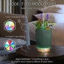 Earnest Living Essential Oil Diffuser Ceramic Artificial Succulent Plants Potted Diffuser 100 ml for Lavender Essential Oils Timers Night Lights and Auto Off Humidifier Aromatherapy Diffusers for Gift by TinyTreasures Baby Boutique
