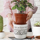 Boho 6 Inch Ceramic Plant pots, Geometric Ceramic Embossed Flower Pots Indoor with Drainage Holes, 2 Set Minimalistic Planters for Indoor and Outdoor Plants(Beige&Black) by GreenHaven Gardens