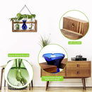 Plant Propagation Station Plant Terrarium Unique Birthday Gifts for Women Plant Lovers Home Office Decor Planter with Wooden Stand - 3 Bulb Glass Vase by GreenHaven Gardens