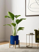 LE TAUCI Large Plant Pots Set, 10/8/6 Inch Ceramic Planters for Indoor Plants, Mid-Century Modern Flower Planter Pots with Drainage Hole and Plug, Cylinder Round Planter Pots, Set of 3, Sapphire Blue by GreenHaven Gardens