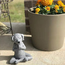 Meditating Dog Statue Buddha - Zen Dog - Namaste– Top Collection Tranquility and Peacefulness for Your Fairy Garden. 4¾ Inches Tall Miniature Gnome Figurine by GreenHaven Gardens