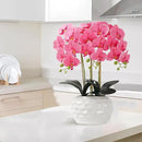 Orchid Artificial Flowers with White Vase Large Silk Faux Phalaenopsis Flowers for Dining Room Table Floral Centerpieces Indoor Decoration,Fuchsia by CozyNest Decor
