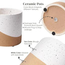 Ceramic Pots for Indoor Plants, 2 Set Flower Pots 5.4/4.3 Inch with Drainage, Double Color Glazed Speckled White & Terracotta Bottom Ceramic Planter Idea for Plant Lovers by GreenHaven Gardens