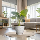 Pots for Plants 10 Inch - Ceramic Planter Large Plant Pot for Indoor Plants Outdoor Round Flower Pot with Drainage Hole and Saucer Home Garden Decor White