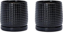 D'vine Dev Set of 2 Ceramic Plants Pots, 4 Inch Beaded Stoneware Flower Pot for Plants with Drainage Hole and Saucer, Glossy Black, 27-E-Z-2 by GreenHaven Gardens